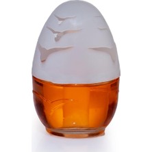 Nacario Dekoratif Küre Mango 100 ml