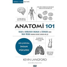 TeknoKapsül Say Yayınları Anatomi 101