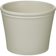 IKEA Körsbarsbjörk Açık Gri-Bej 12 cm Toprak Saksı