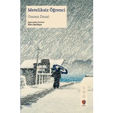 TeknoKapsül Ithaki Yayınları Meteliksiz Öğrenci