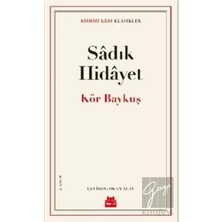 TeknoKapsül Kırmızı Kedi Yayınları Kör Baykuş