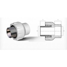Colezium Ege Yıldız Pprc 50X1 1/2 Erkek Adaptör Gri
