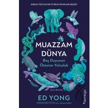 TeknoKapsül Domingo Yayınevi Muazzam Dünya: Beş Duyunun Ötesine Yolculuk
