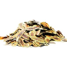 Colezium Açlık Otu Erkek Sinameki Doğal 100 gr Paket