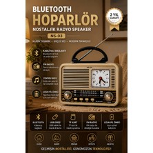 Yenilig Bluetooth Hoparlör Nostaljik Radyo Speaker Ns-03 Kablosuz Taşınabilir Fm Radyo USB Tf Kart Destekli Retro Hoparlör Altın