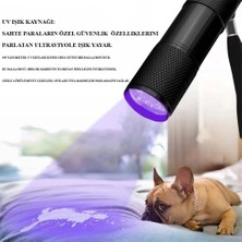 MiraLive Ultraviole Para Kontrol Işığı WT-302
