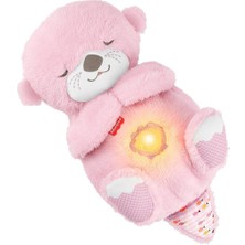 Colezium JLJ33 Fisher-Price Uyku Arkadaşı Pembe Su Samuru