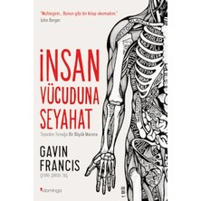 Colezium Insan Vücuduna Seyahat