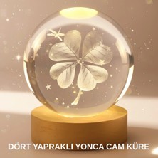 Shopwave Bitki Temalı LED Işıklı Cam Küre Ahşap Standlı Gece Lambası
