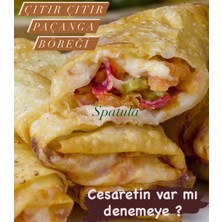 Paçanga Böreği