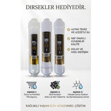 Segy Home Alkalix 3'lü Su Arıtma Filtre Seti Altın Seri - Dirsek Hediyeli Nsf Onaylı Ön Üçlü Filtre Takımı Ters Ozmoz Ro Uyumlu