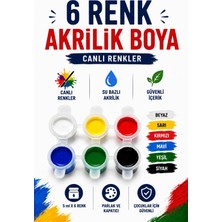 Akrilik Boya 6 Renkli Canlı Renkler Seramik Hamuru Resim Seti İçin Güvenli İçerik