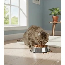 Bestie Kaymaz Taban Paslanmaz Metal Kedi Köpek Mama ve Su Kabı - 22 cm