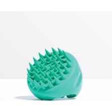 Neofollics Scalp Massaging Brush