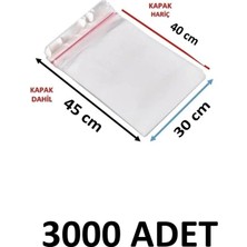 MTKardeşler 3000 Adet 30 x 40+5 cm Yapışkanlı Şeffaf Opp Poşet