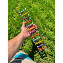 Paks Pet 12 Basamaklı Ahşap Kuş Merdiveni 50 cm x 8 cm – Kancalı Kafes Içi Tırmanma Oyuncağı – Muhabbet, Sultan, Cennet Papağanı ve Paraketler Için