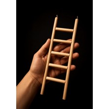Paks Pet Doğal Ahşap Kuş Merdiveni 25x8 cm – 5 Basamaklı Kancalı Kafes Merdiveni – Muhabbet Kuşu, Sultan Papağanı ve Paraketler Için