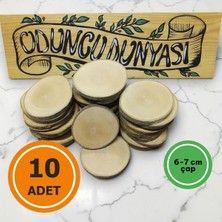 Oduncudünyası 6-7 cm (10 Adet) Doğal Ahşap Odun Kütük Dilimi Dişbudak