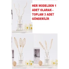 3 Tek Adet 3 Model Aromaterapi Koku Dağıtıcı Rattan Şişe Ahşap Difüzör Çubuk (Spiral-Yapra