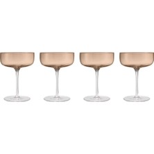 Blomus Fuumı 4'lü Şampanya Kasesi Seti Kahve Renk 280 ml