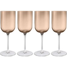 Blomus Fuumı 4'lü Kırmızı Şarap Kadehi Seti Kahve Renk 400 ml