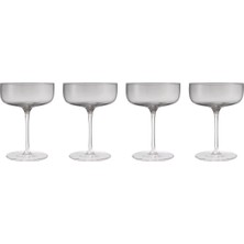 Blomus Fuumı 4'lü Şampanya Kasesi Seti Füme Renk 280 ml