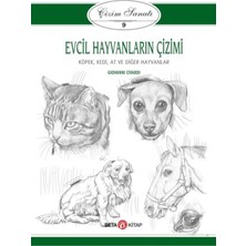 TeknoKapsül Timaş Yayınları Çizim Sanatı Serisi 9 - Evcil Hayvanların Çizimi