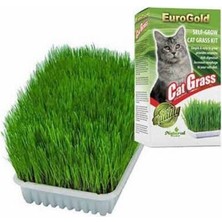 Esranın Dünyası Cat Grass Kedi Çimi