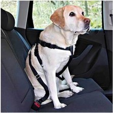 Esranın Dünyası Köpek Emniyet Kemeri Medium 50-70 cm
