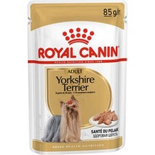 Esranın Dünyası Yorkshire Terrier Adult Yetişkin Köpek Konservesi 85 gr
