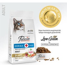 Esranın Dünyası Hypoallergenic Somonlu Düşük Tahıllı Yetişkin Kedi Maması 2 kg