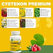 Esranın Dünyası Cystenon 15LI Kaps Sistite Idrarın Normallleşmesine Kokulara Ağrılarınıza Yanmalarınıza
