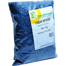 Esranın Dünyası Acı Yaban Mersini Siyah Doğal 1000 gr Paket
