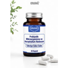 Ersağ Probiyotik Mikroorganizma ve Ascophyllum Nodosum 30 Kapsül
