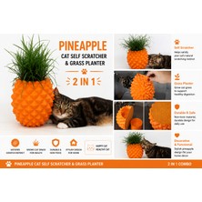 Saf Hobi Ananas Tasarımlı Kedi Kaşınma Aparatı ve Kedi Otu Saksısı – 2’si 1 Arada Turuncu