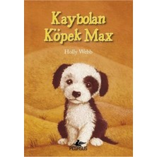 TeknoKapsül Pegasus Yayınları Kaybolan Köpek Max - Holly Webb