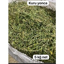 Akbiz Tarım Kuru Yonca Kemirgen Otu Bol Çiçekli 5 Kğ