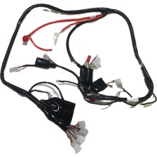 Elektrik Tesisatı (Euro 3) (Freedom 125 Arora)