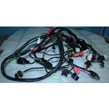 Elektrik Tesisatı (Euro 5) (Zrx 200 Arora)