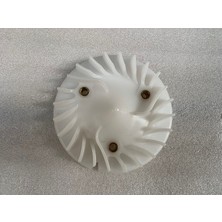 Fan (Max Pro Arora)