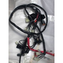 Elektrik Tesisatı (Euro 3) (Dazzle 50 Arora)