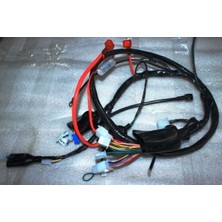 Elektrik Tesisatı (Euro 5) (Freedom 125 Arora)