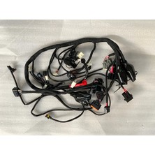 Elektrik Tesisatı (Euro 5) (Max Pro Arora)