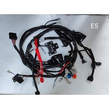 Elektrik Tesisatı (Euro 5) (Quantum 125 Arora)