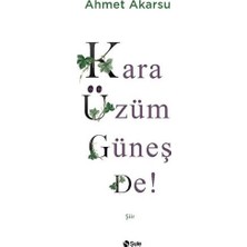 Hayat Store Kara Üzüm Güneş De