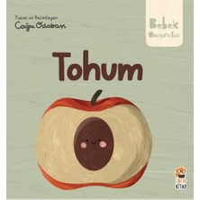 TeknoKapsül Sincap Kitap Hikâyeli Ilk Kavramlarım Tohum | Doğa Sevgisi ve Dil Gelişimi | 0-3 Yaşeğitici Kitap