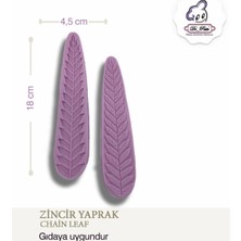 Dr-Paste Silikon Kalıp