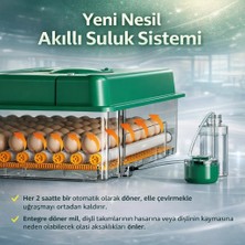BYZM FX192 Model Tam Otomatik Kuluçka Makinesi - Tüm Kanatlı Hayvanlara Uyumlu Yeni Nesil Su Hazneli Süngerli Sistem