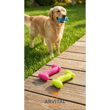 Kemik Şekilli Köpek Diş Kaşıma Isırma Aparatı Köpek Kemiği