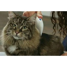 BYZM Kedi Köpek Pire Temizleyici Pire Tarağı Flea Doctor